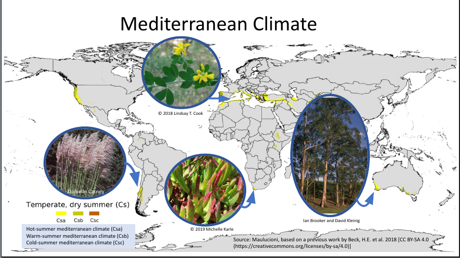 Plant Communities Lecture Slide